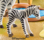 Zebra Foal 2