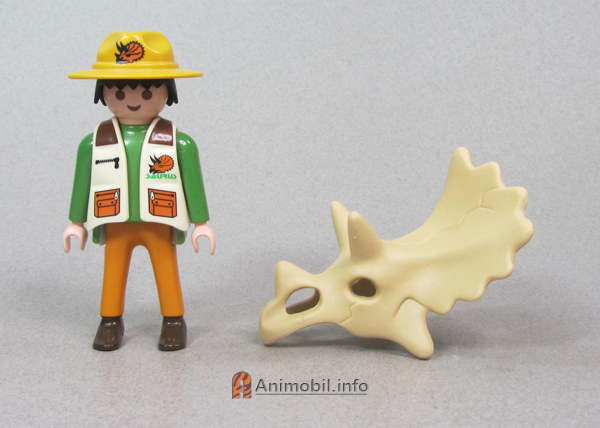 Triceratops Skull Tan