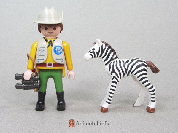 Zebra Foal 2