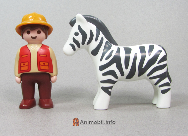 Zebra Junior